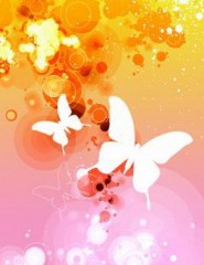  3d_Butterflies - ,   