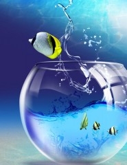 картинка Аквариум и рыбки - , для мобильного телефона
