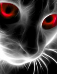 картинка красные кошачие глаза - домашнее животное, являясь одиночным охотником на грызунов и других мелких животных, использующее для общения широкий диапазон звуковых сигналов, а также феромоны и движения тела., для мобильного телефона