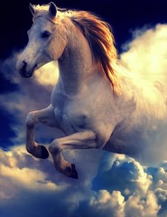 картинка Белогривый конь - , для мобильного телефона