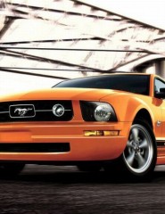  FORD Mustang - ,   
