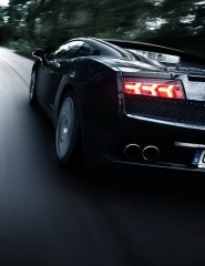   Lamborghini LP560 - ,   