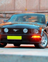  Ford Mustang 2004  - ,   