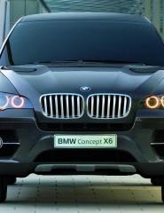  ׸ BMW X6 - ,   