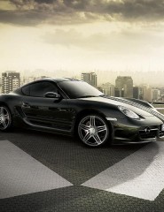    Porsche - ,   