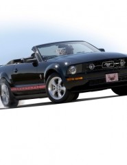  Mustang Cabriolet black - ,   