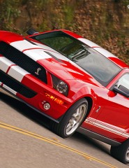  Ford MustangShelbyGT500 - ,   