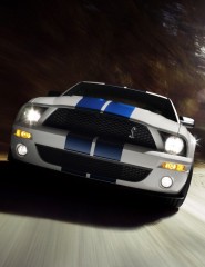   Ford Shelby GT500 - ,   