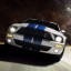  Ford Shelby GT500  