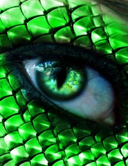 картинка глаз зеленой ящерицы - , для мобильного телефона