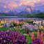 Grand Teton and Wildflowers, W  