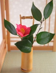 картинка малиновый цветок, ваза - , для мобильного телефона