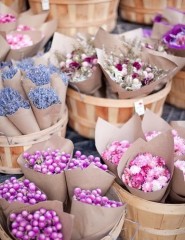  , flower market - ,   