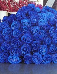картинка Огромный букет синих роз - , для мобильного телефона