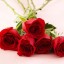 цветы red roses на телефон