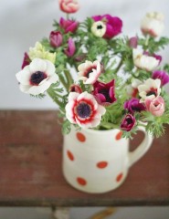 картинка цветы, чашка в горошек - , для мобильного телефона