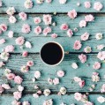 чашка кофе, цветы, лепестки