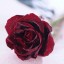 бардовая роза на телефон