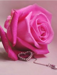 картинка сердечко и роза - , для мобильного телефона