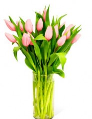 картинка розовые тюльпаны в вазе - , для мобильного телефона