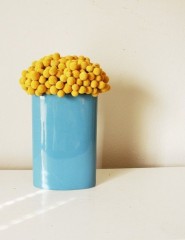картинка цветы: yellow&blue - , для мобильного телефона
