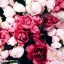 flowers,   