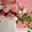 , pink roses  