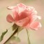 нежно-розовая роза, фото на телефон