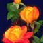 оранжевые розы, цветы на телефон