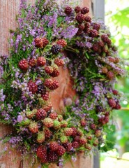 : Berries and flowers - ,   
