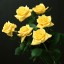 Желтые розы на телефон