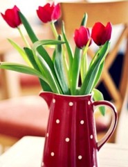 картинка тюльпаны, ваза в горошек - , для мобильного телефона