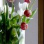 цветочки, тюльпаны на телефон