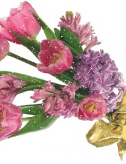 картинка розовые тюльпаны - , для мобильного телефона