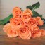 розы оранжевые на телефон