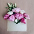 розовые цветы, лизиантус