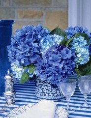  , Blue hydrangeas - ,   