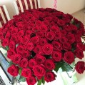 огромный букет красных роз