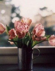 картинка тюльпаны на окне - , для мобильного телефона