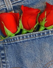 картинка Три розы в джинсах - , для мобильного телефона