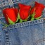 Три розы в джинсах на телефон