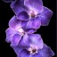 фиолетовые цветочки на телефон