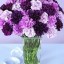 Purple_Carnations на телефон