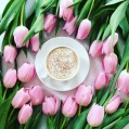 розовые тюльпаны, кофе