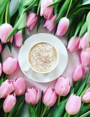 картинка розовые тюльпаны, кофе - , для мобильного телефона
