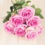 , beautiful pink roses  