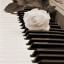 роза на пиано на телефон