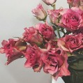 красивые розы необычной формы