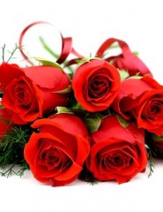 картинка Очаровательный букет роз - Ярко красный букет роз с лентой такого же цвета на белом фоне, для мобильного телефона