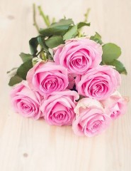  pink roses,  - ,   